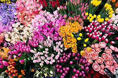 本周Fami通游戏评分出炉 《仙剑客栈2》获27分